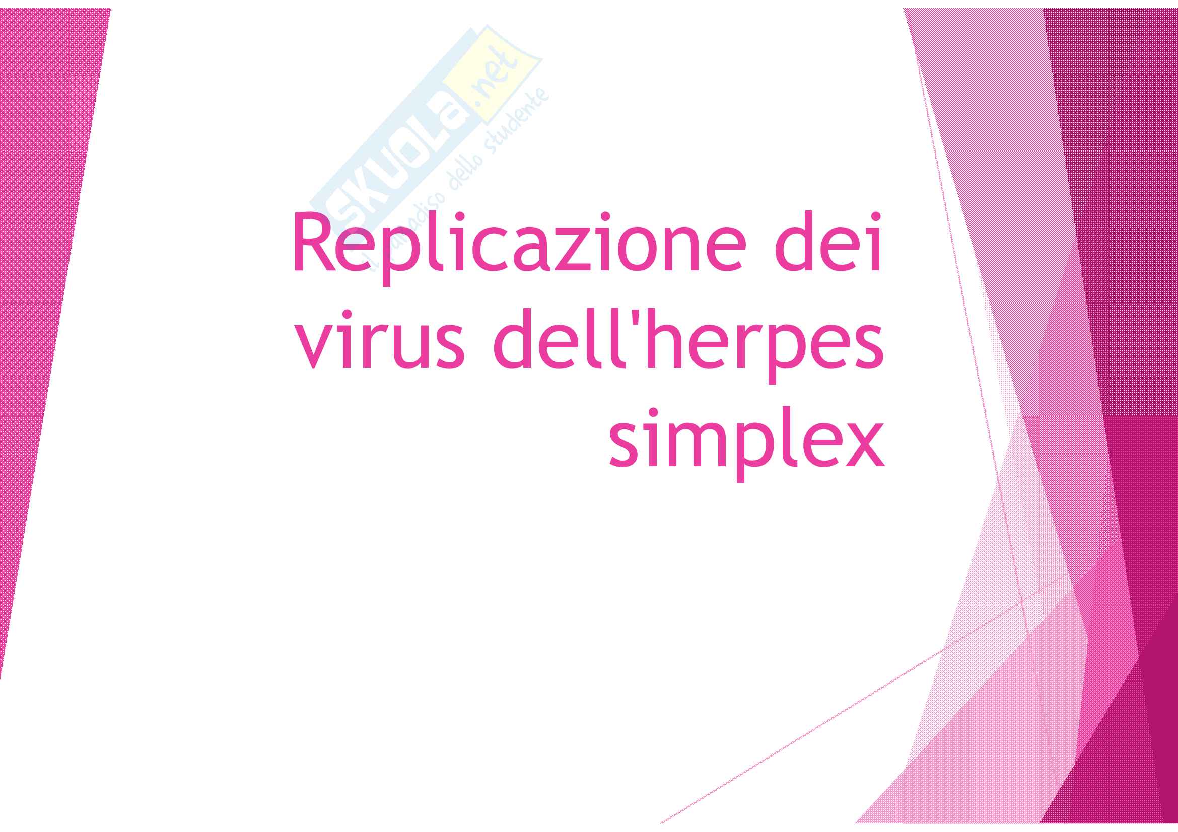 Replicazione dei virus dell herpes simplex Pag. 1