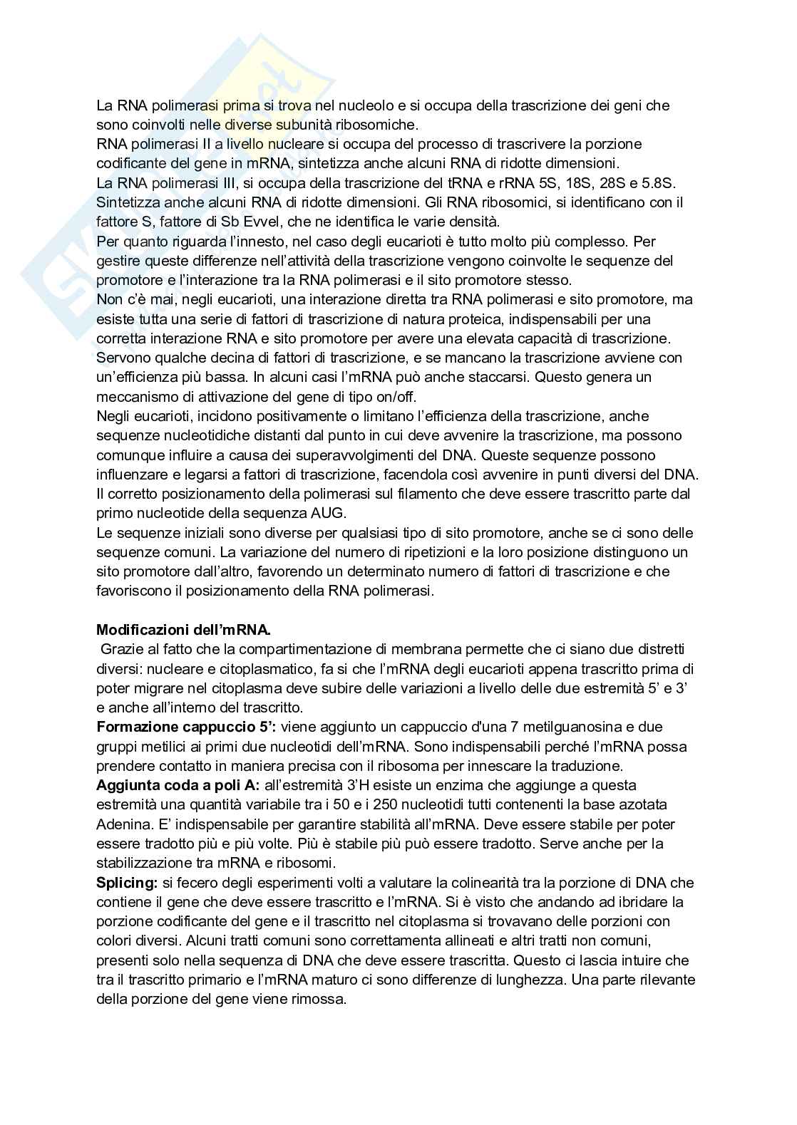 Appunti di Genetica Pag. 26