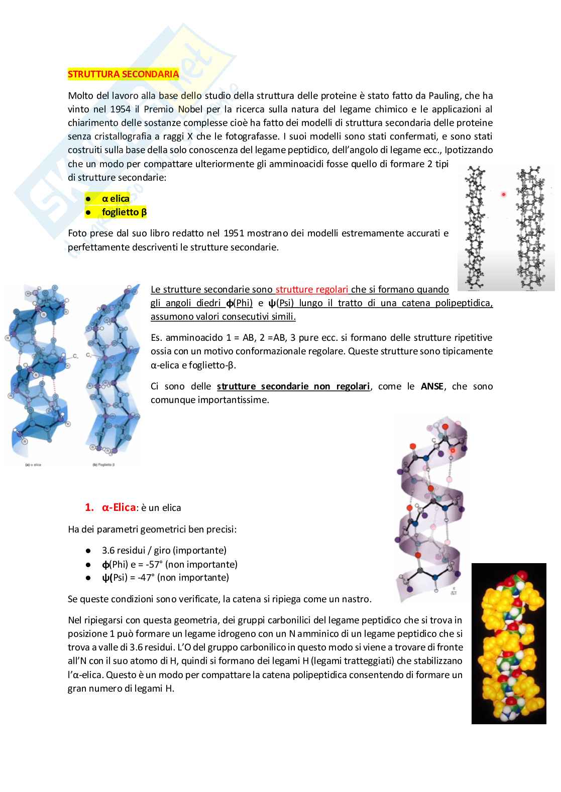 Proteine Pag. 11