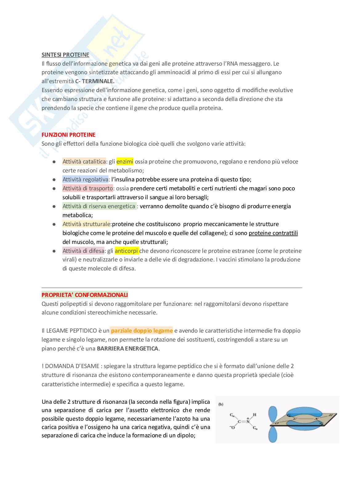 Proteine Pag. 2