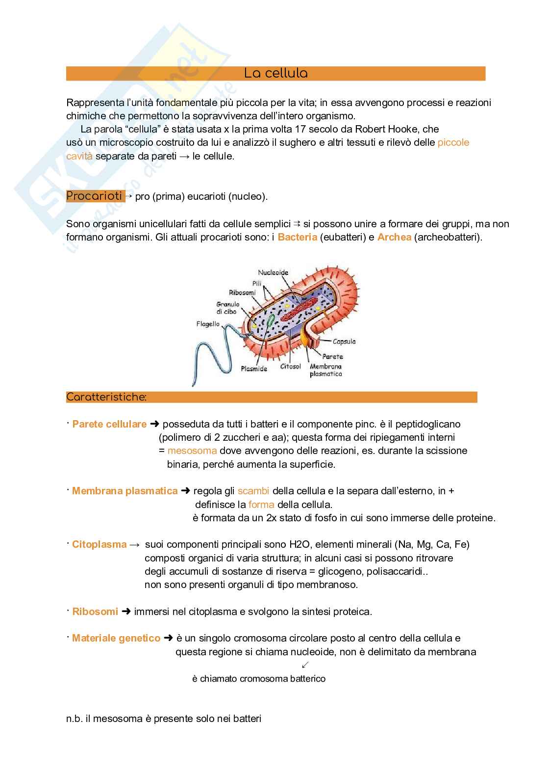 Appunti di Biologia vegetale: la cellula Pag. 1