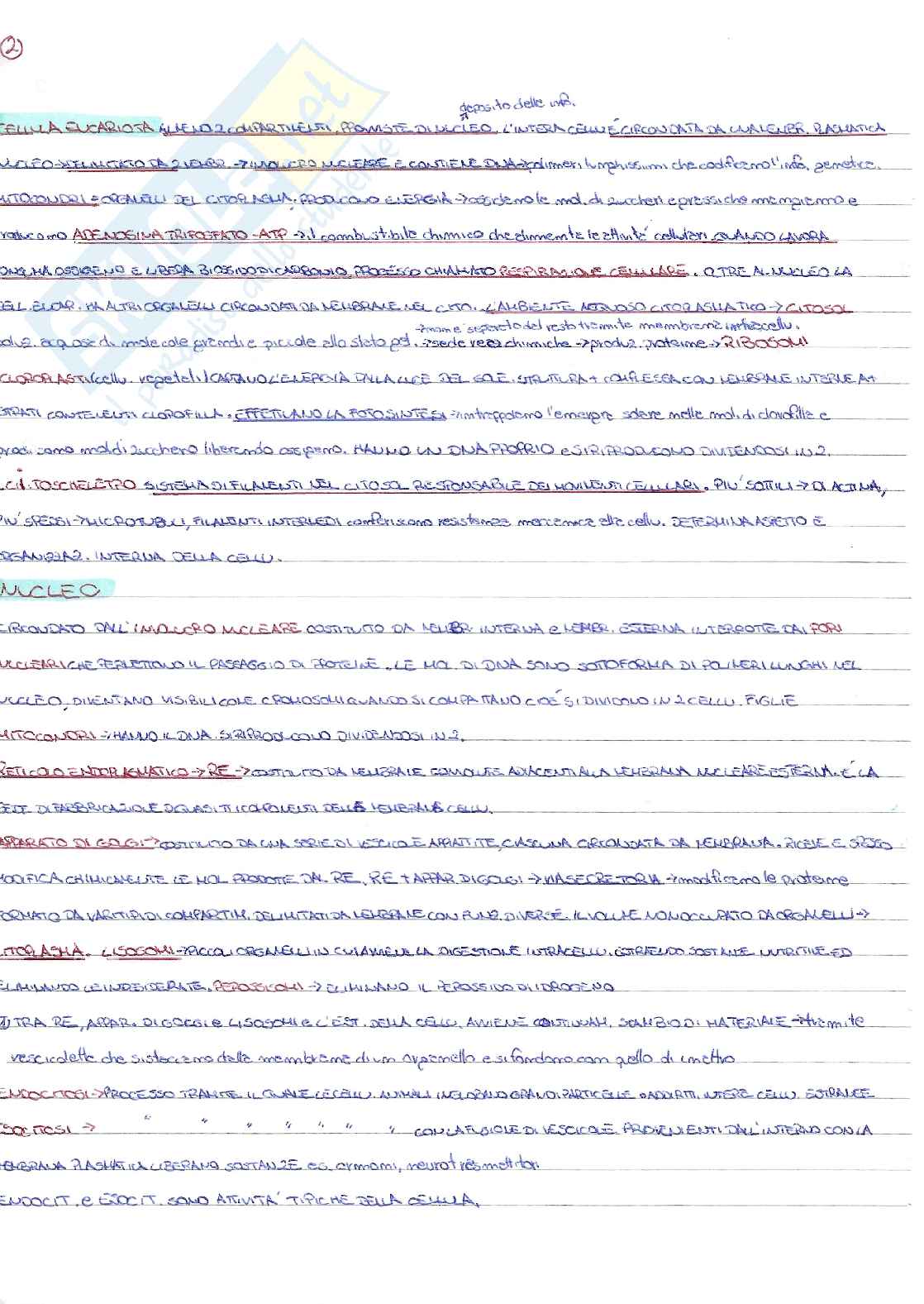 appunti di biologia cellulare Pag. 2
