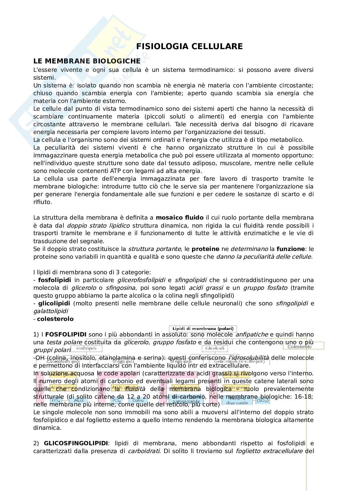 Fisiologia Pag. 1