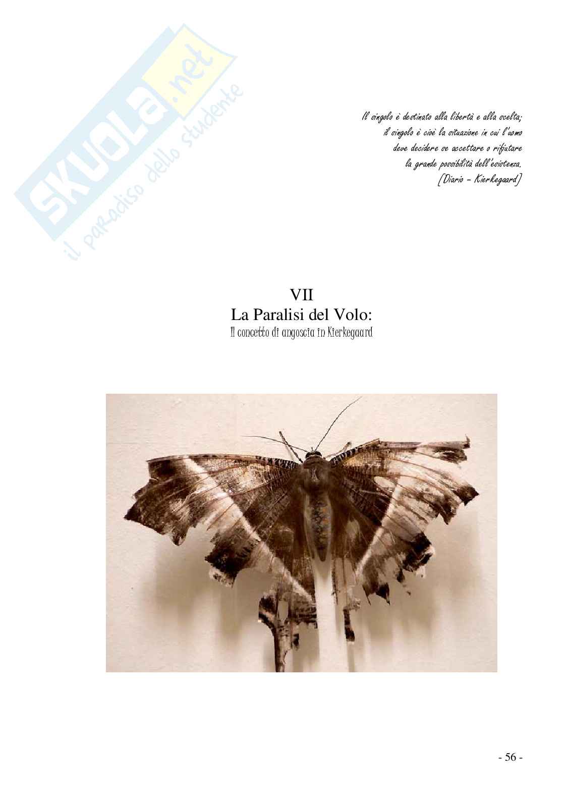Butterflies effect: teoria del caos Pag. 56