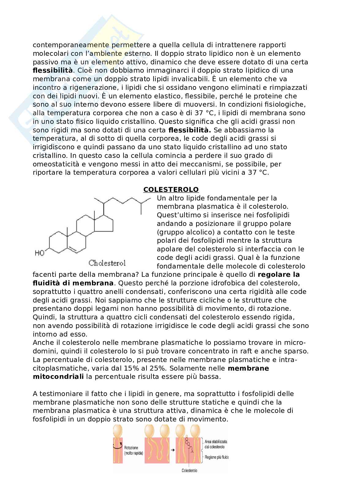 Fisiologia generale Pag. 6