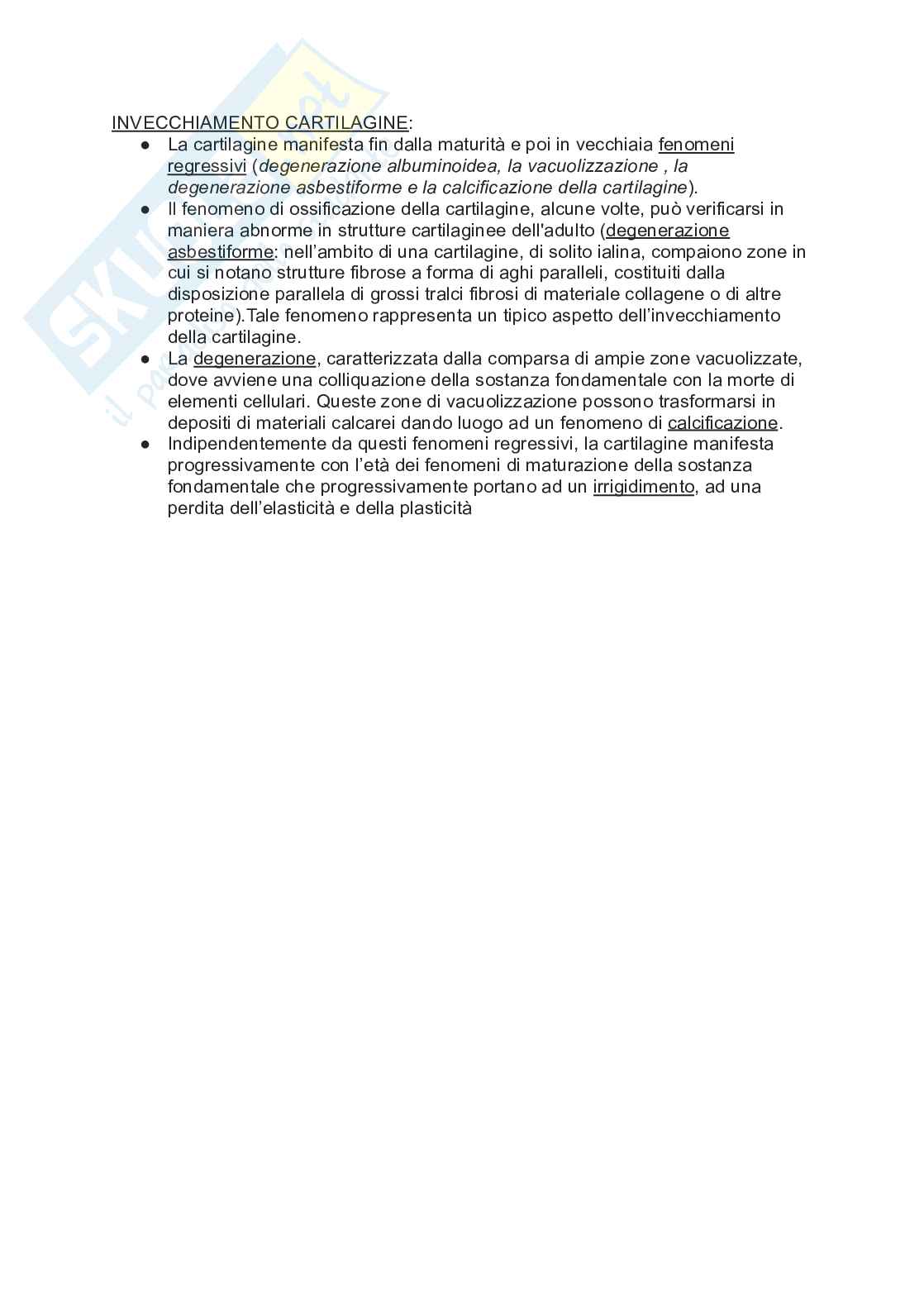 Tessuto Connettivo Pag. 11