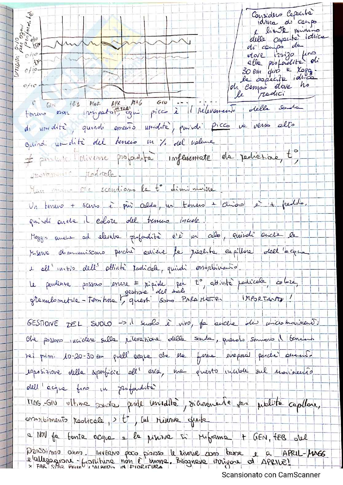 Appunti Sistemi colturali arborei sostenibili - prof. Vivaldi Pag. 31