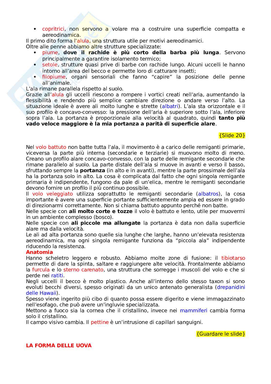 Zoologia dei vertebrati Pag. 26