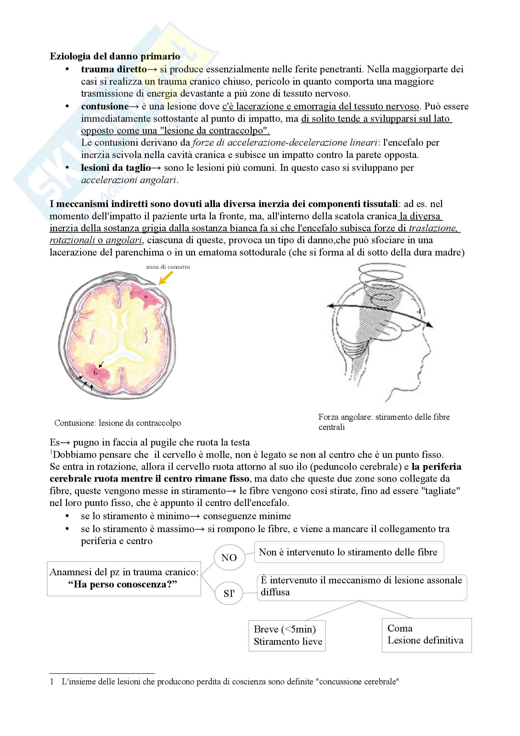 Traumi Cranici ed Ematomi Cerebrali, Neurologia Pag. 2