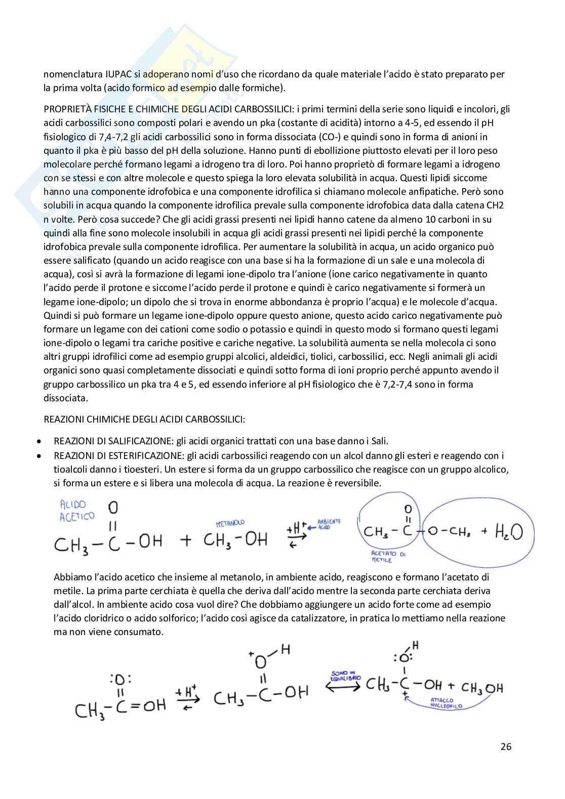 Elementi di Chimica e molecole biologiche Pag. 26
