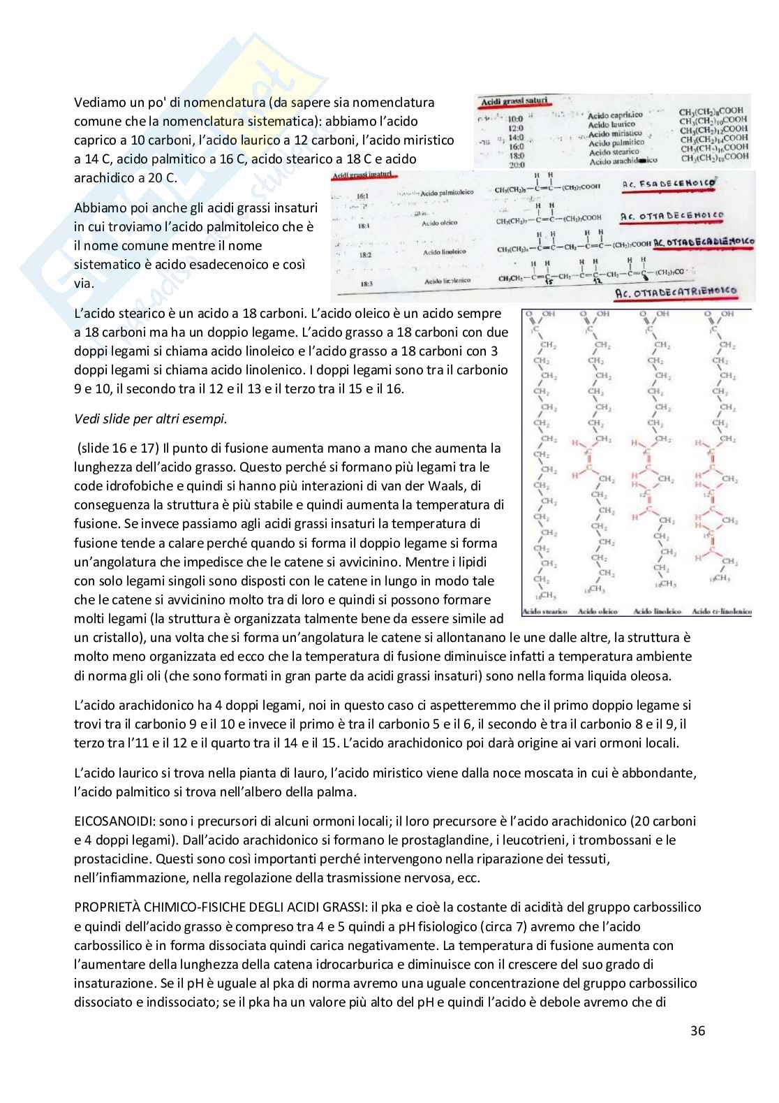Elementi di Chimica e molecole biologiche Pag. 36
