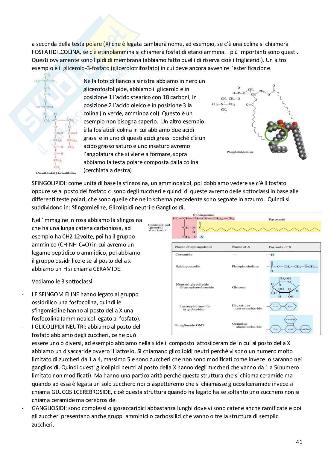 Elementi di Chimica e molecole biologiche Pag. 41