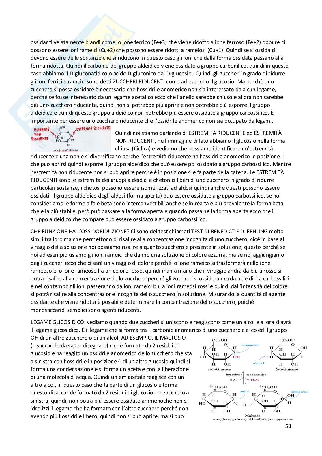 Elementi di Chimica e molecole biologiche Pag. 51