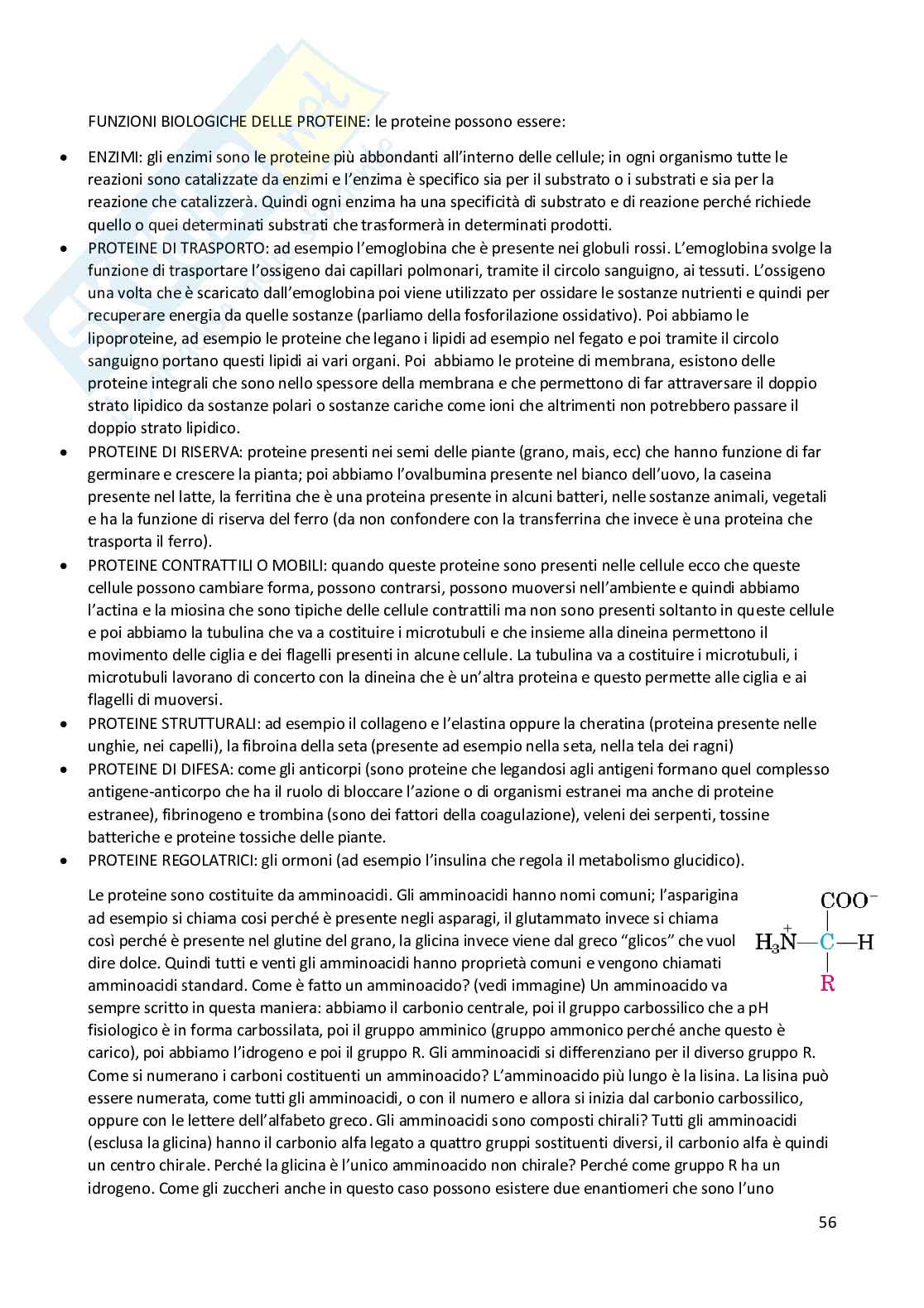 Elementi di Chimica e molecole biologiche Pag. 56