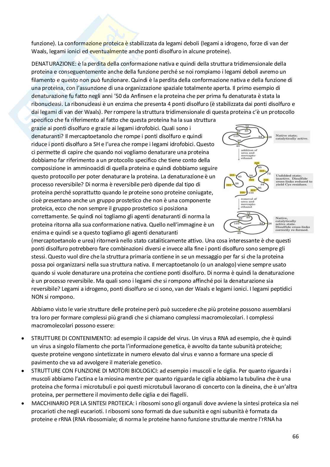 Elementi di Chimica e molecole biologiche Pag. 66