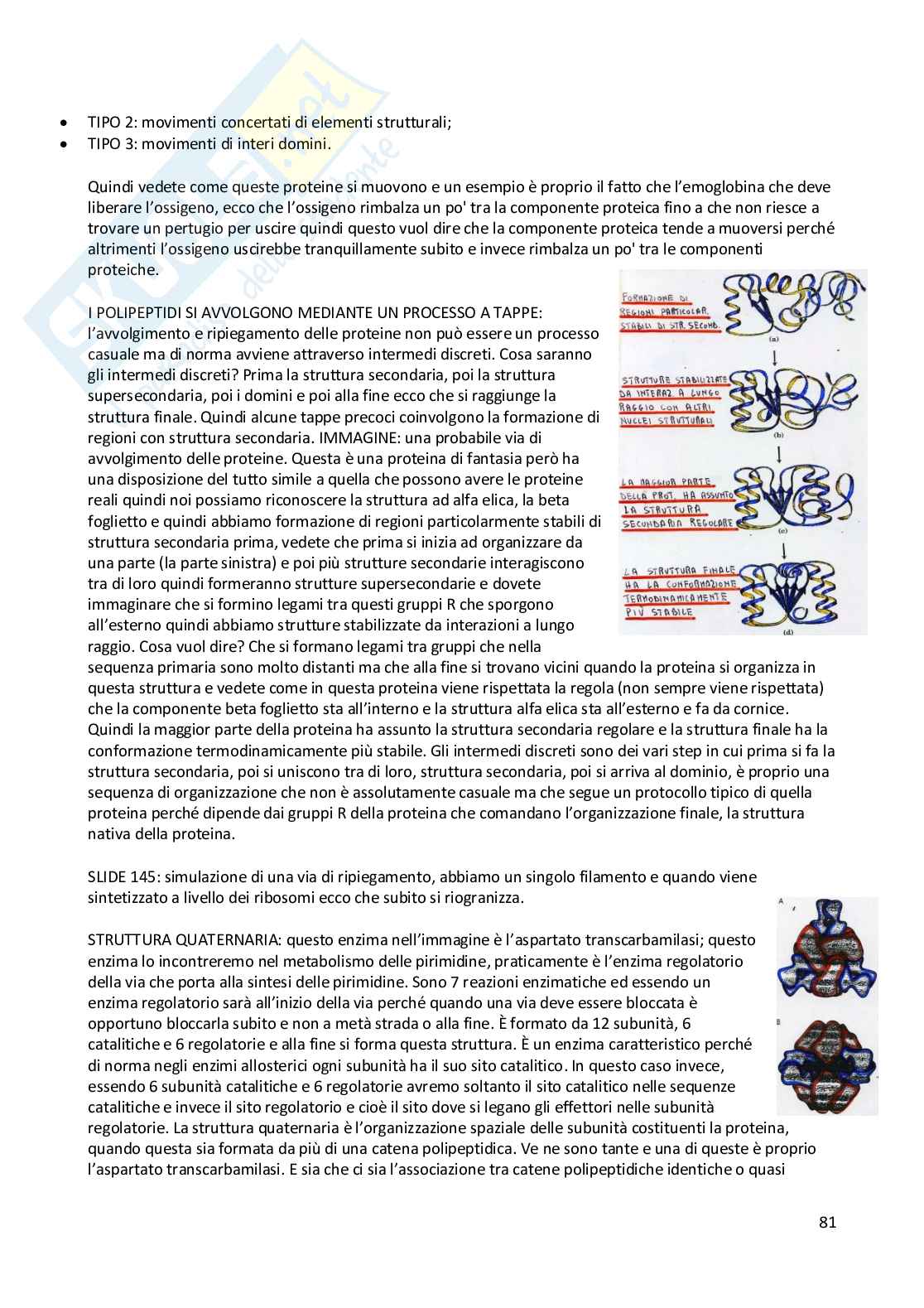 Elementi di Chimica e molecole biologiche Pag. 81