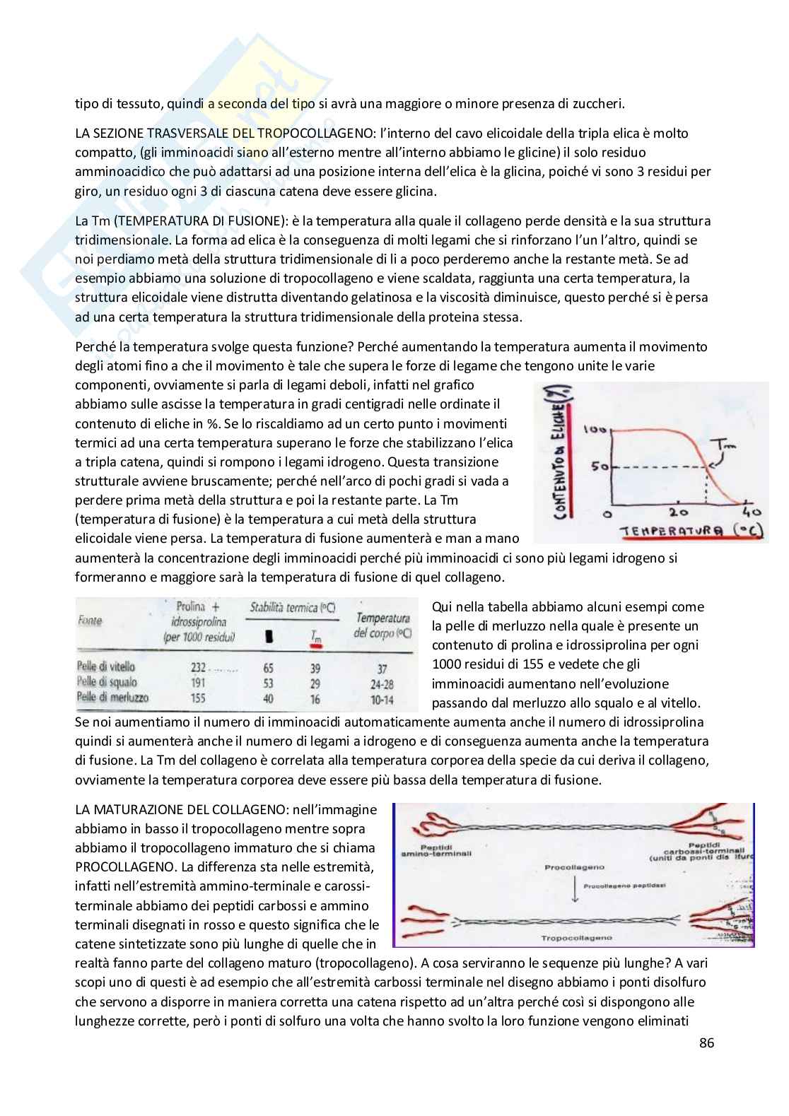 Elementi di Chimica e molecole biologiche Pag. 86