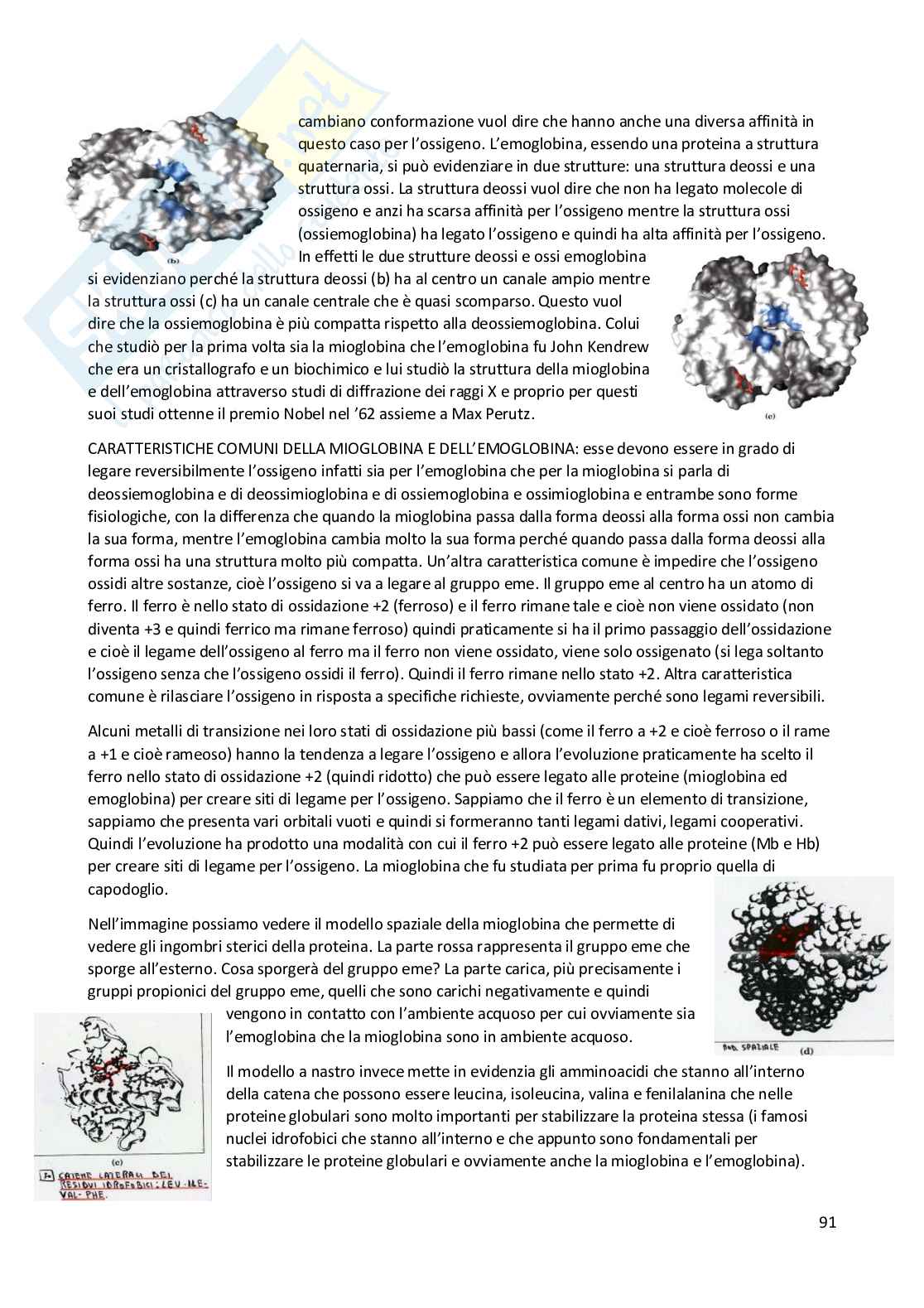 Elementi di Chimica e molecole biologiche Pag. 91