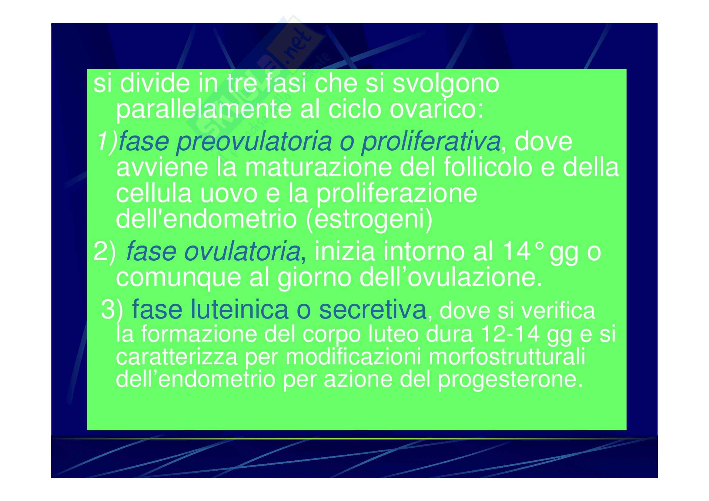 Ginecologia e ostetricia - ciclo mestruale Pag. 2
