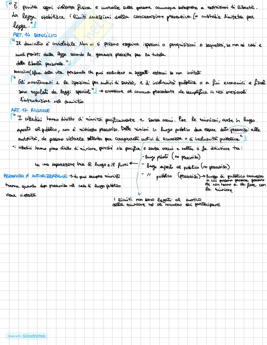 Diritto costituzionale  Pag. 31