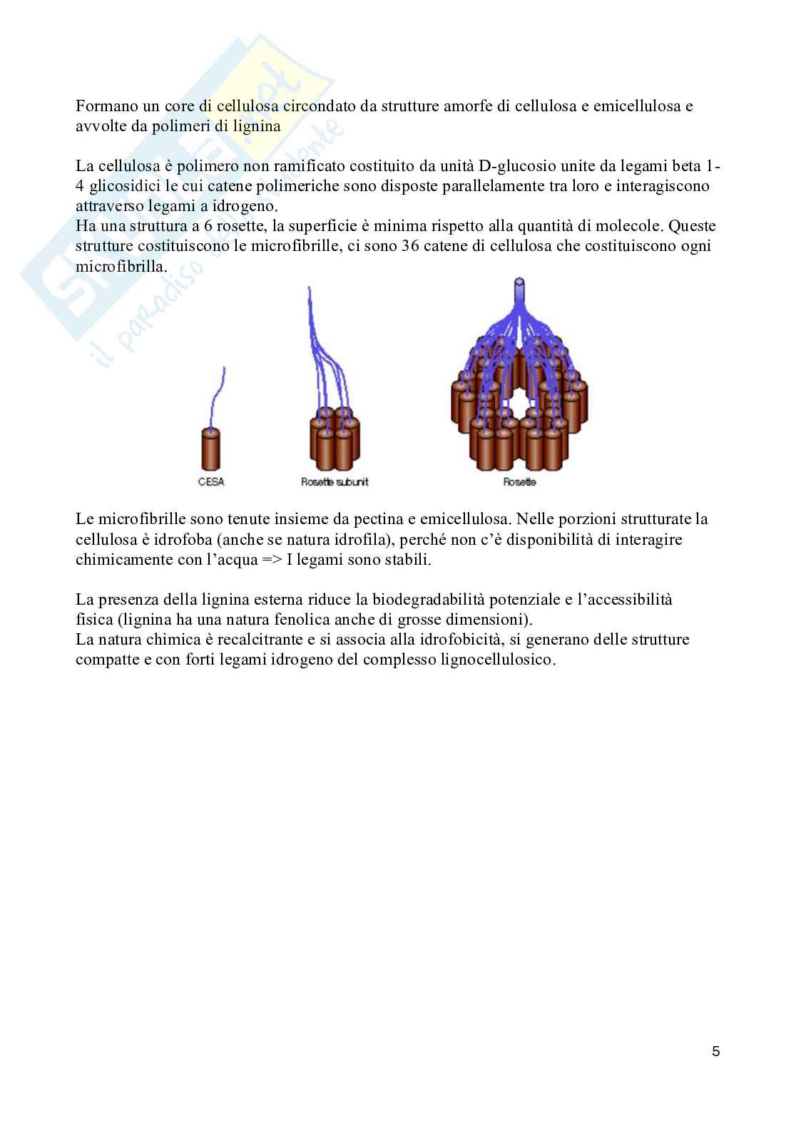 Appunti Lezioni e diapositive di Uso e riciclo delle biomasse agroalimentari Pag. 6