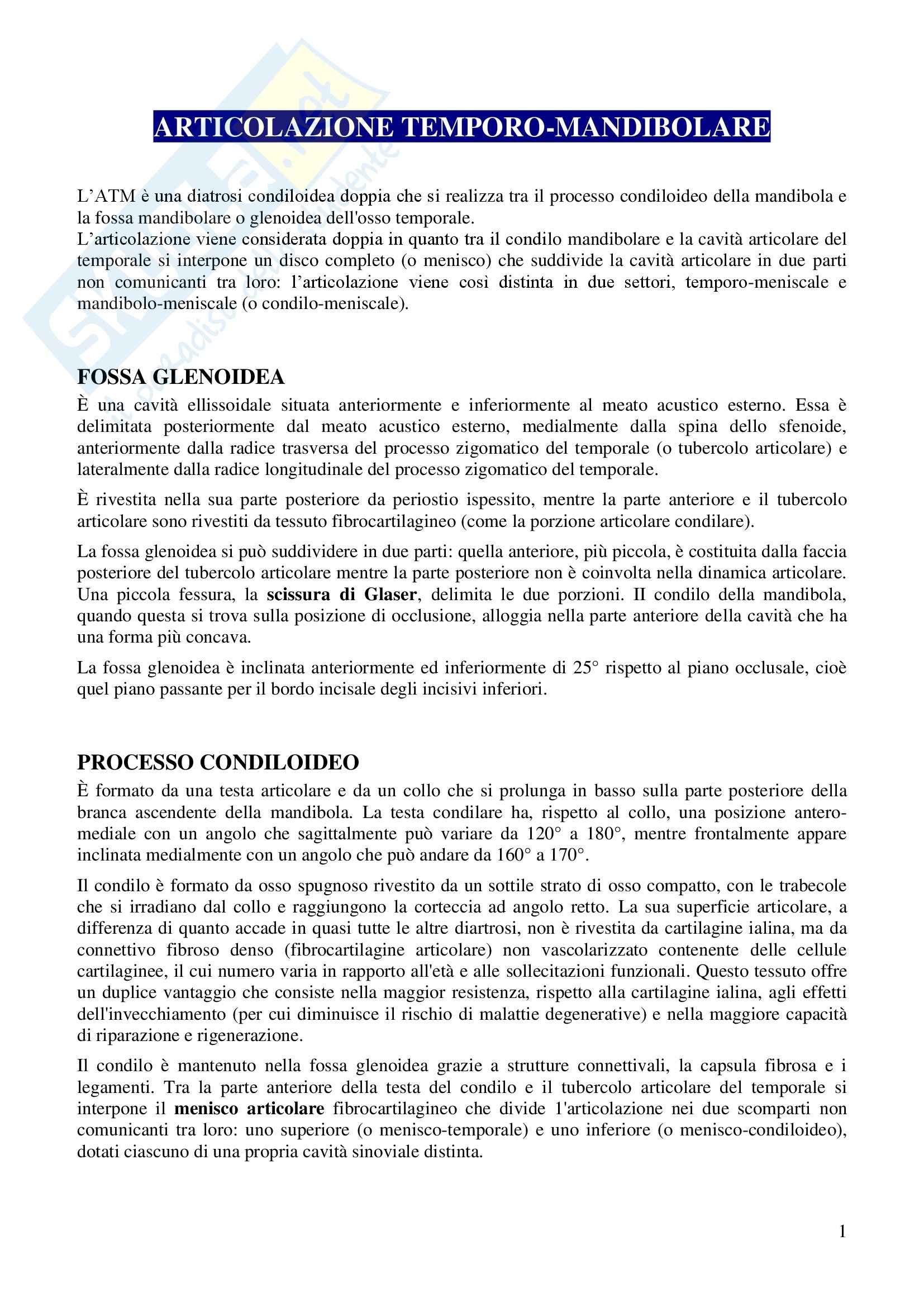 Articolazione temporo mandibolare ATM, Anatomia dell'Apparato stomatognatico Pag. 1