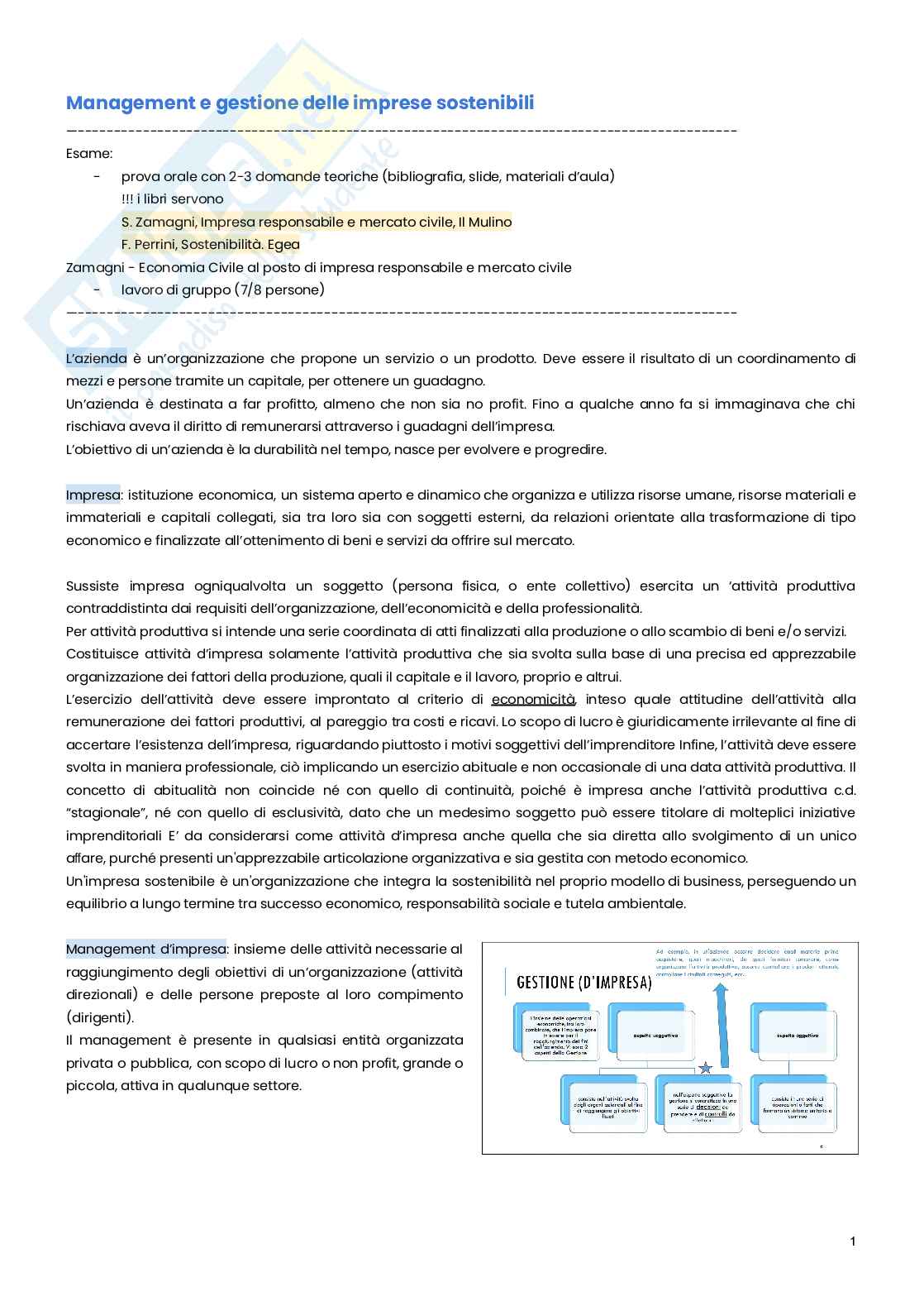 Management e gestione delle imprese sostenibili   Pag. 1