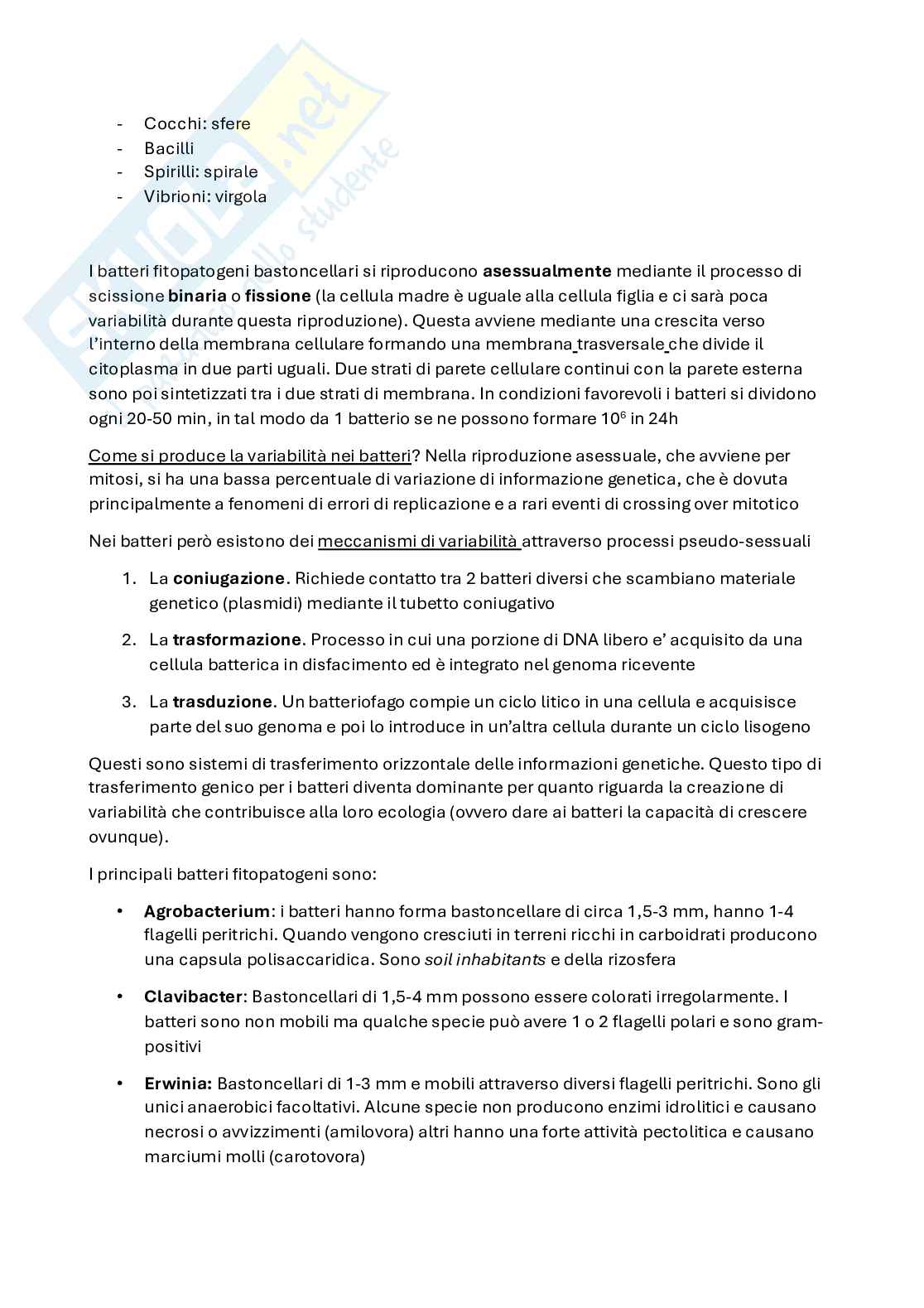 Patologia vegetale  Pag. 11