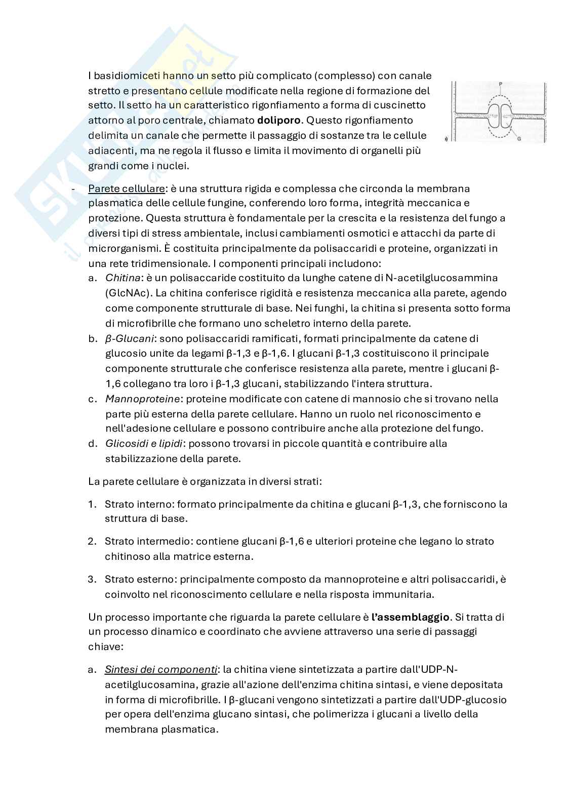 Patologia vegetale  Pag. 21