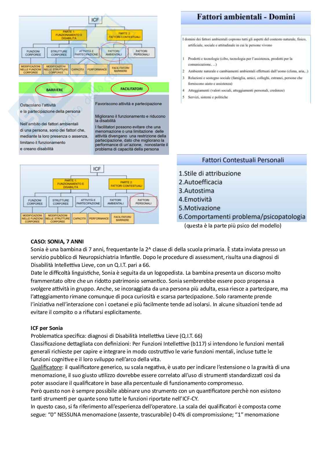 Appunti completi BES - Bisogni educativi speciali Pag. 16