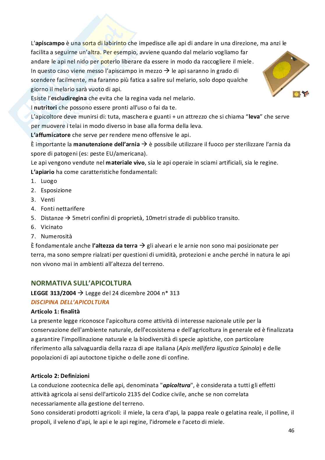 Apicoltura Pag. 46