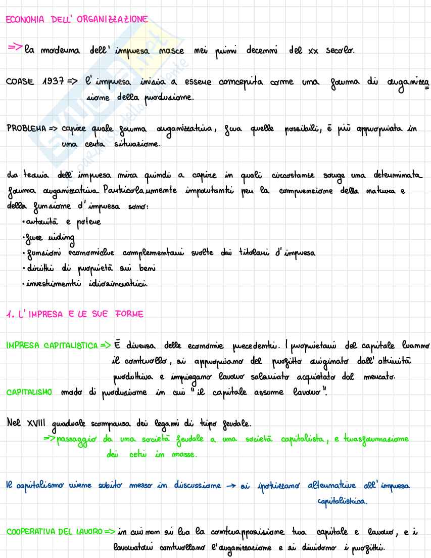 Appunti Economia dell'organizzazione Pag. 1