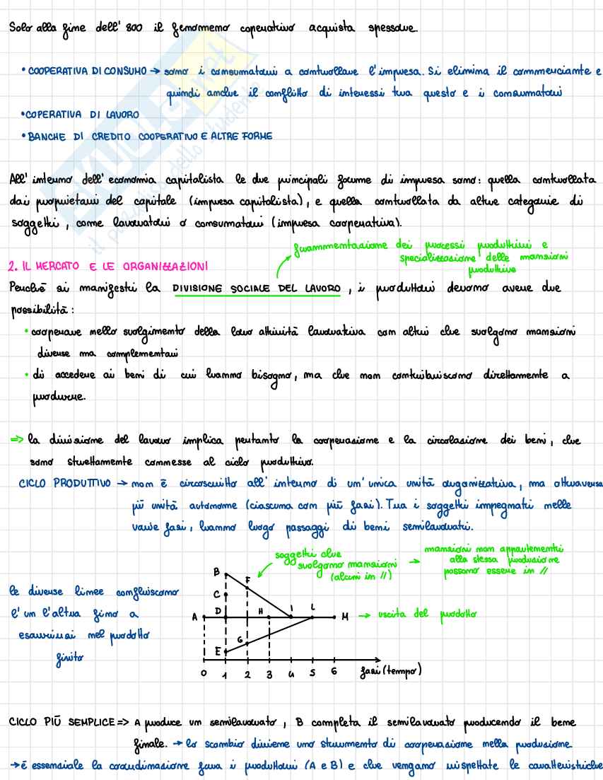 Appunti Economia dell'organizzazione Pag. 2