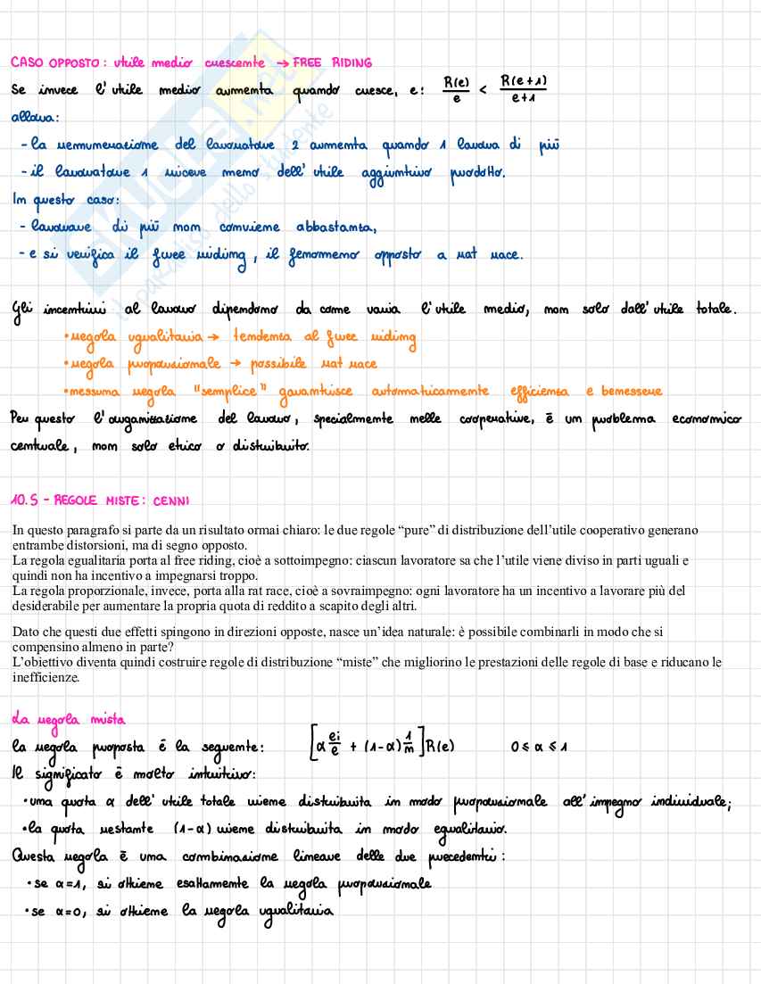 Appunti Economia dell'organizzazione Pag. 21