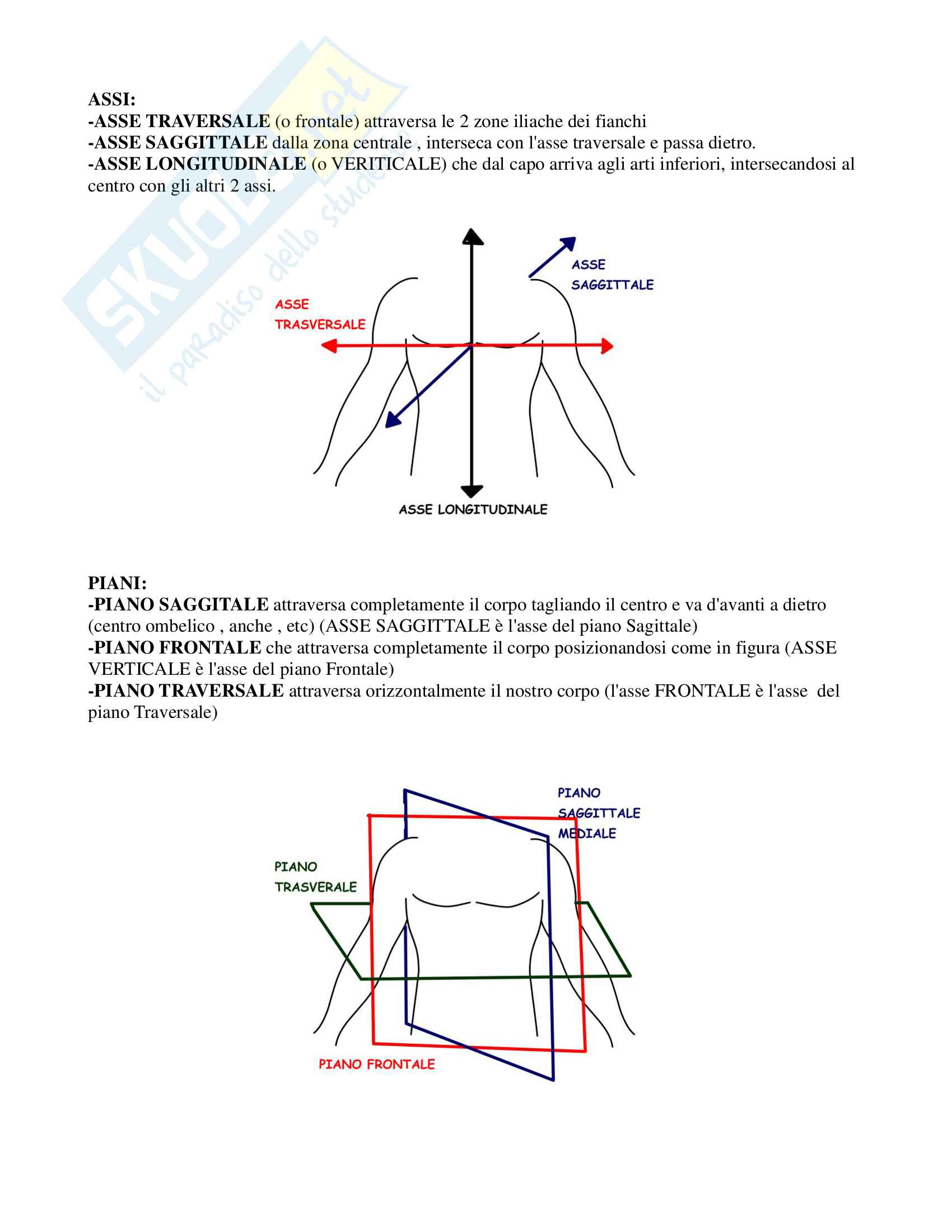 Anatomia generale, Appunti Pag. 2