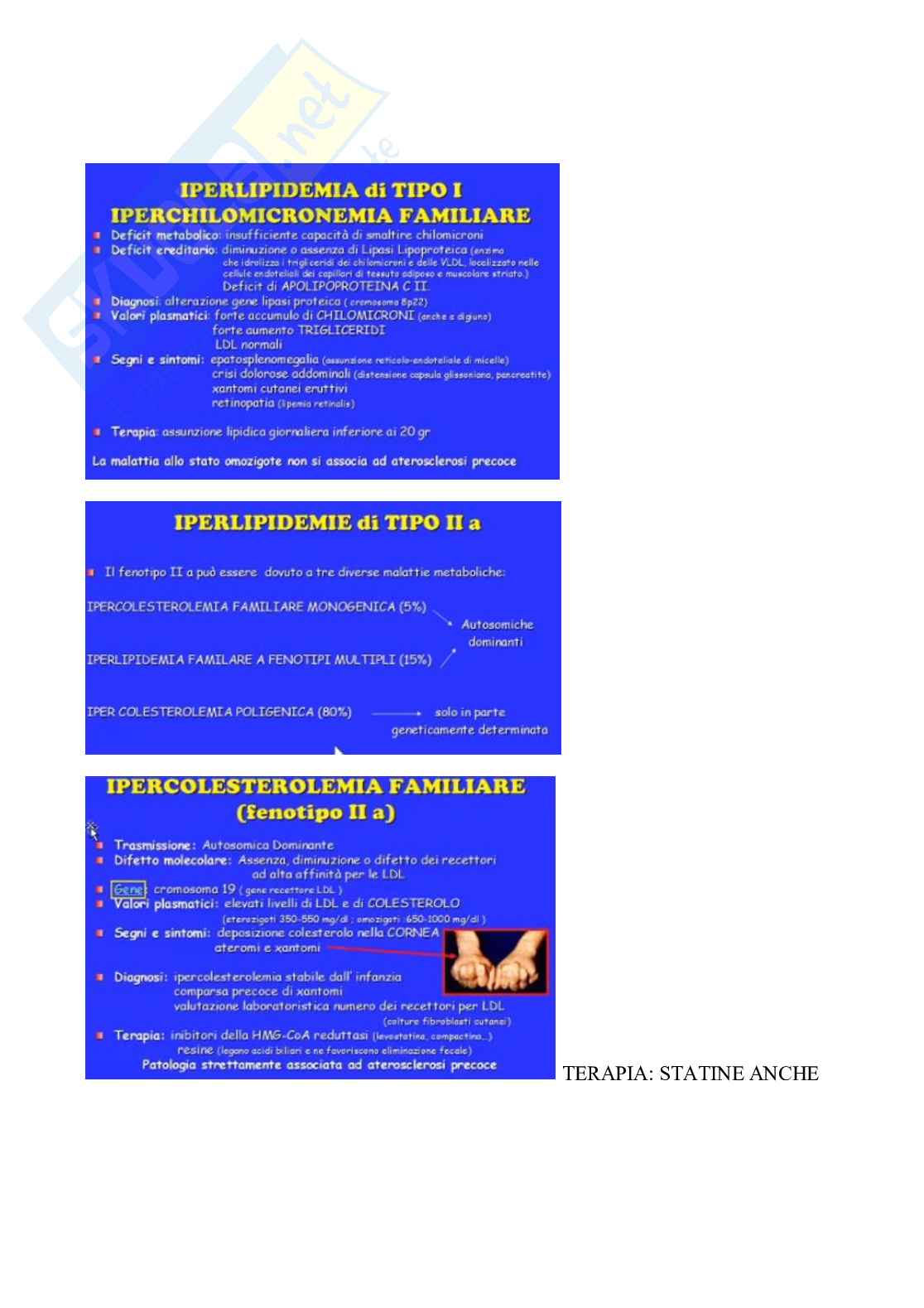Iperlipidemie fenotipiche, strategie nutrizionali, esercizio fisico e terapia farmacologica delle dislipidemie Pag. 1