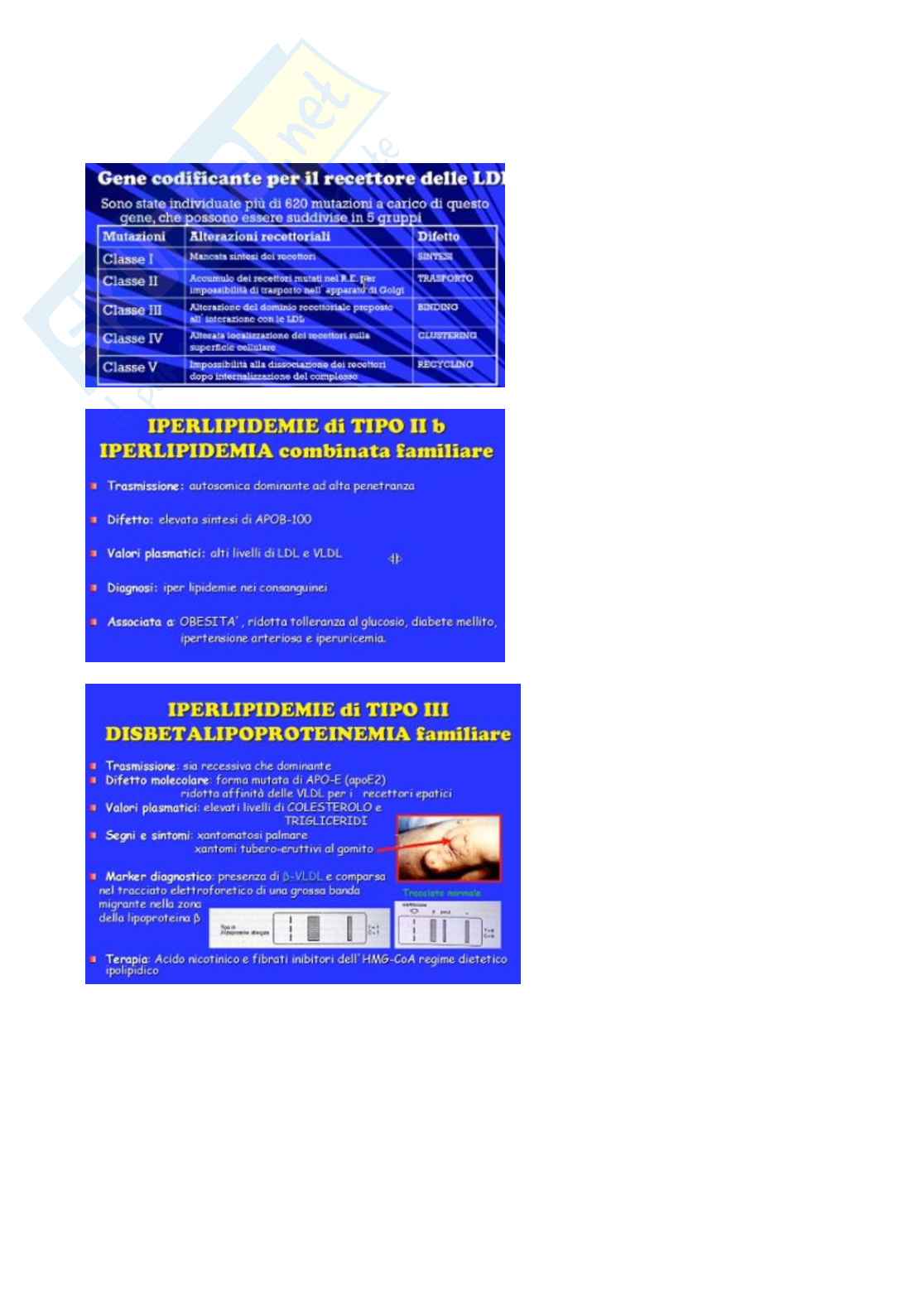 Iperlipidemie fenotipiche, strategie nutrizionali, esercizio fisico e terapia farmacologica delle dislipidemie Pag. 2
