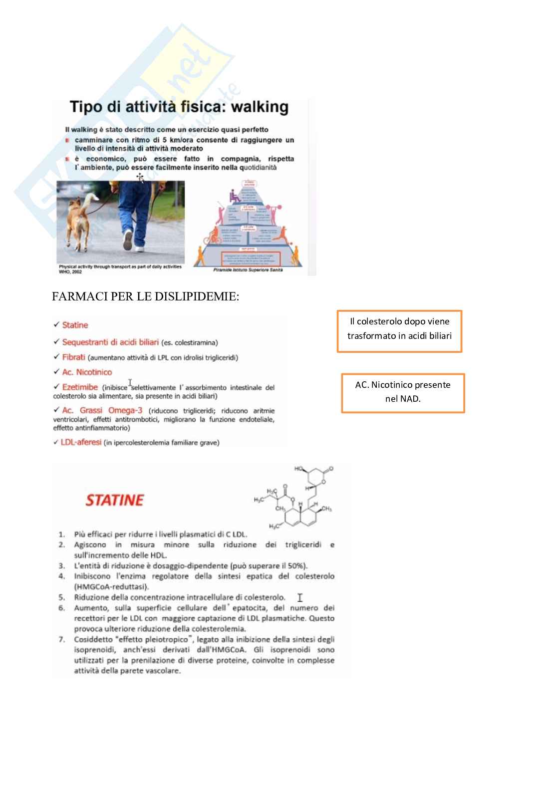 Iperlipidemie fenotipiche, strategie nutrizionali, esercizio fisico e terapia farmacologica delle dislipidemie Pag. 6
