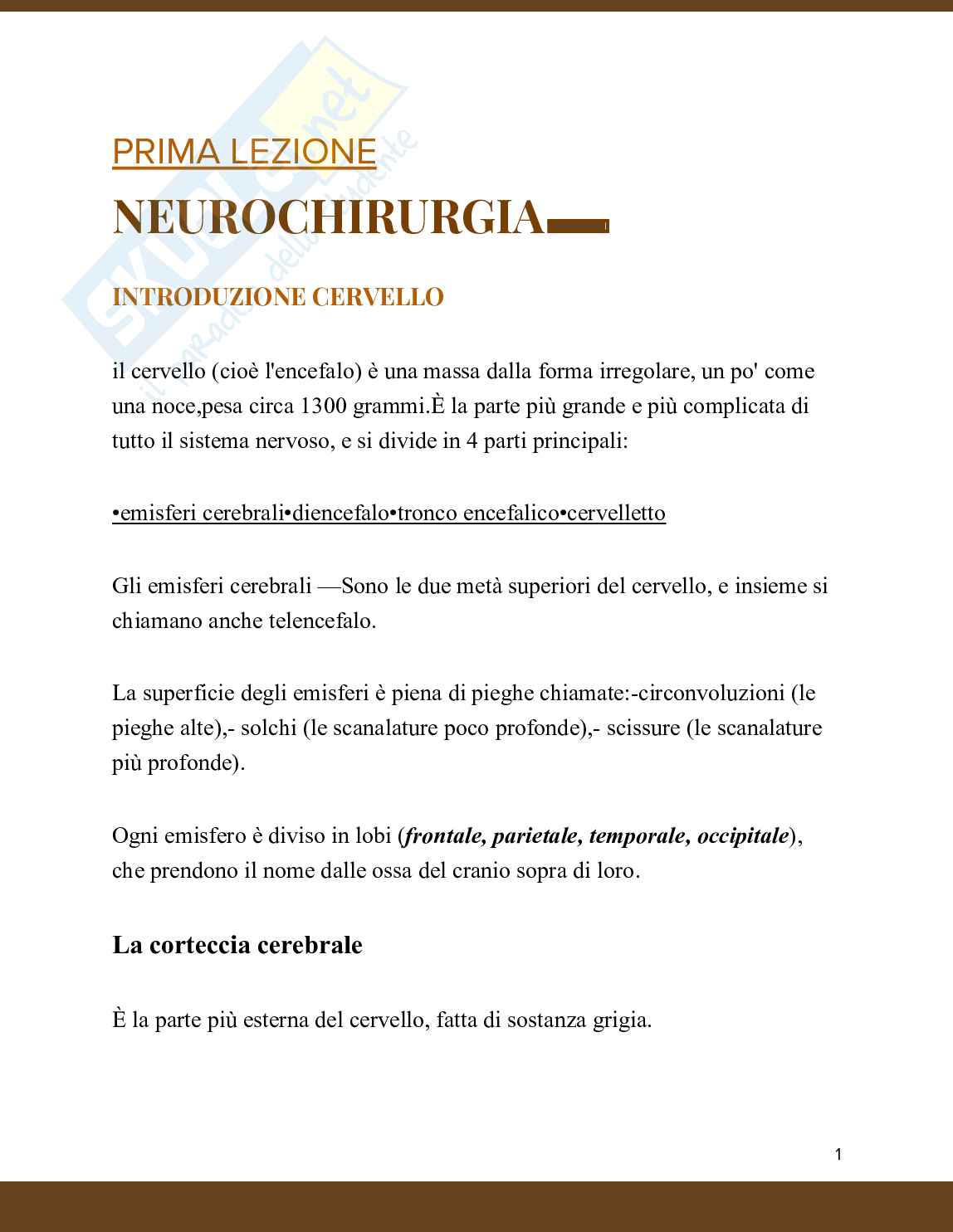 Neurochirurgia  Pag. 1