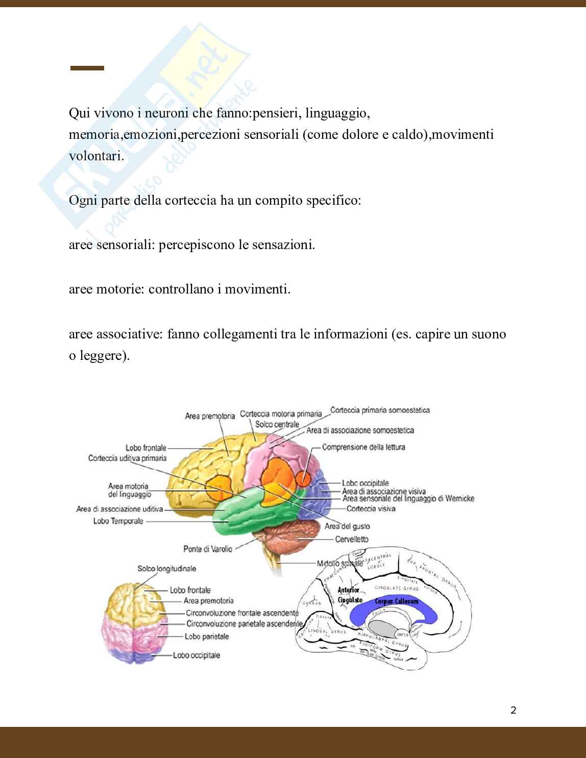 Neurochirurgia  Pag. 2