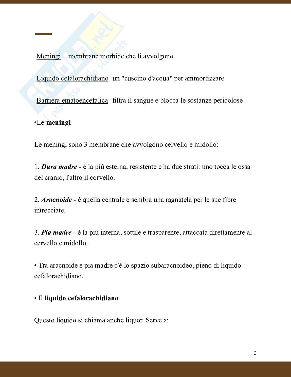 Neurochirurgia  Pag. 6