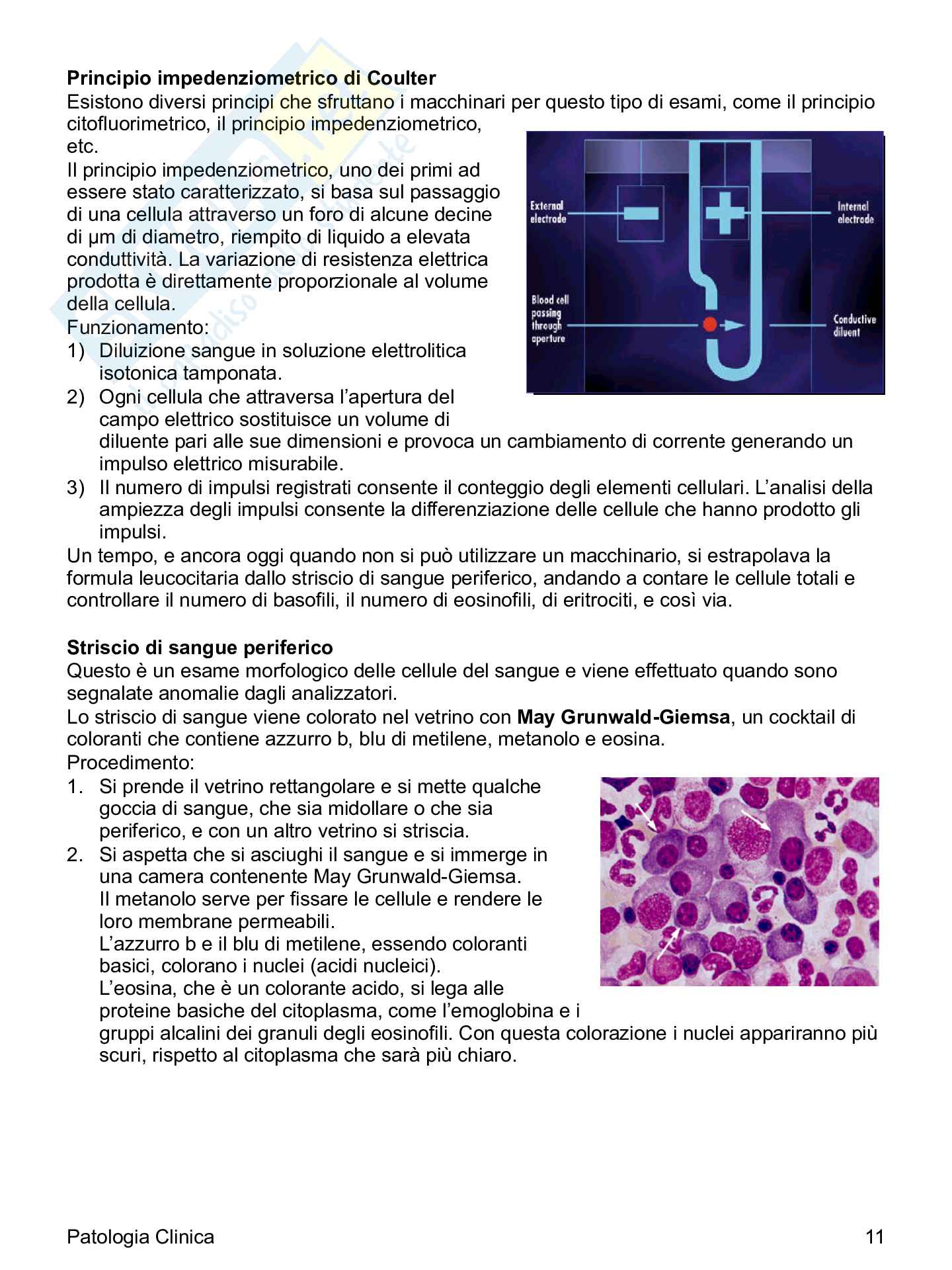 Riassunto esame Medicina di laboratorio, Prof. Calabrese Gaetano, libro consigliato Medicina di laboratorio, Giorgio Federici Pag. 11
