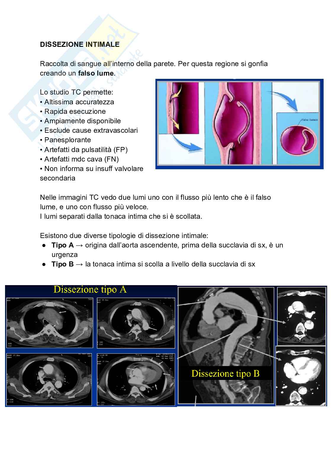 Riassunto esame Tc torace, Prof. Tosatti Giovanni, libro consigliato Manuale di diagnostica per immagini, Torricelli Pag. 31