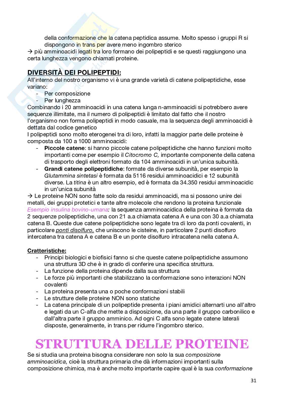 Biochimica generale Pag. 31