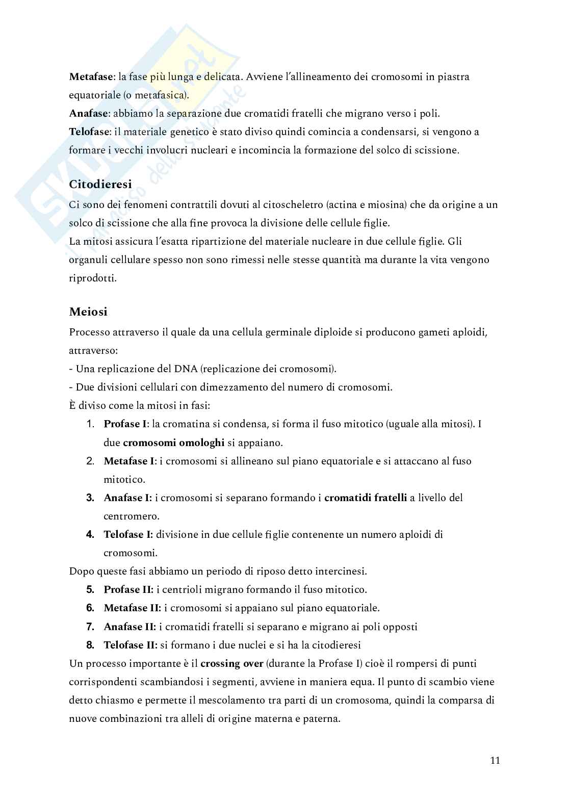 Genetica Pag. 11