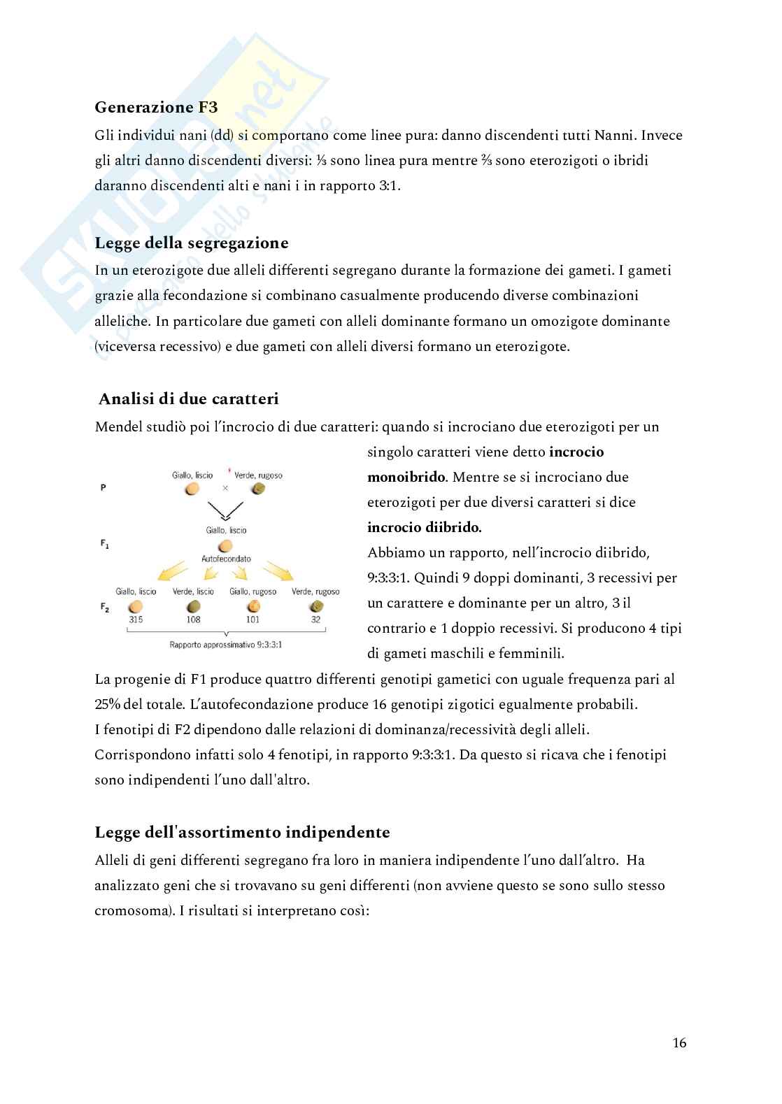 Genetica Pag. 16