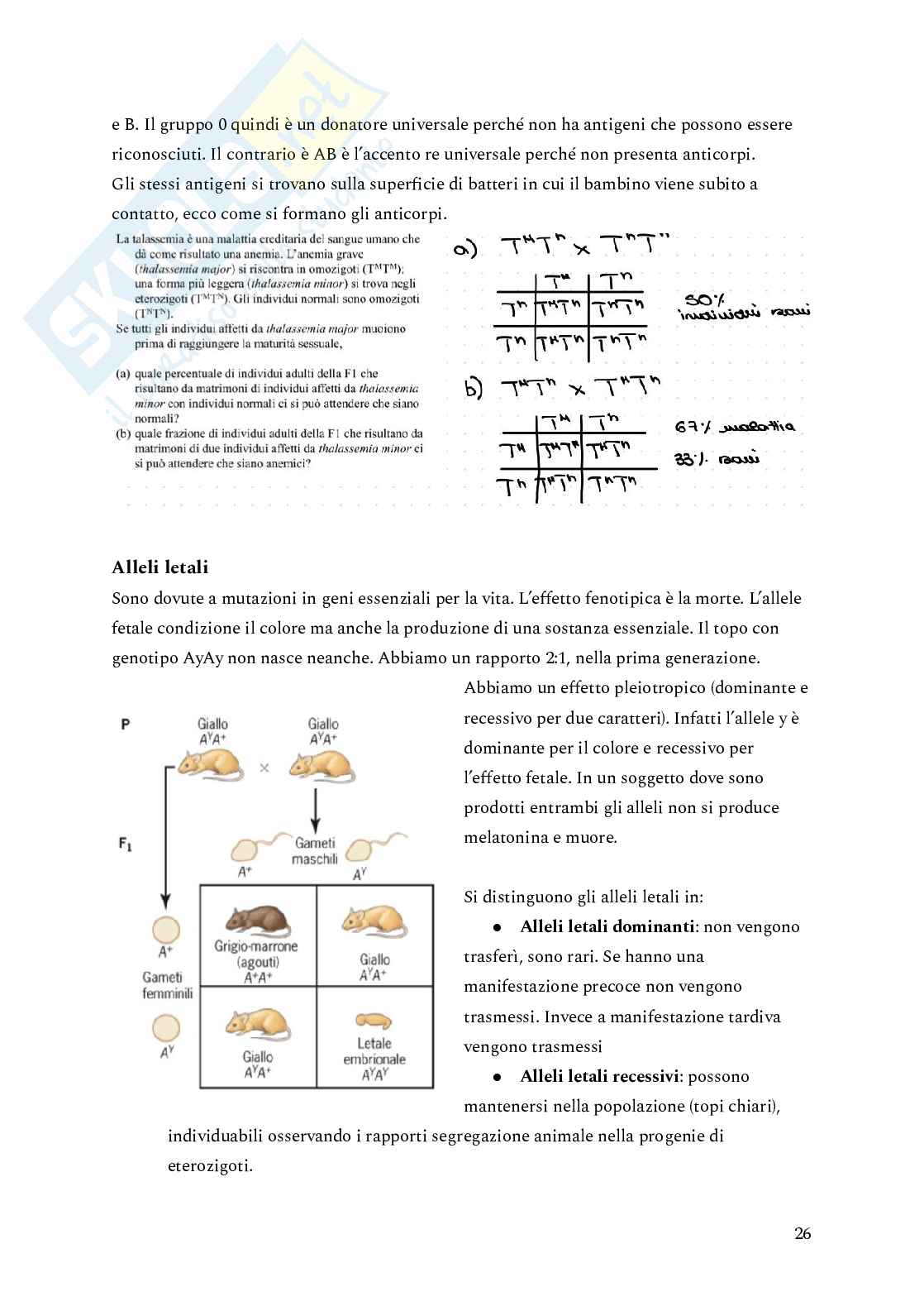 Genetica Pag. 26