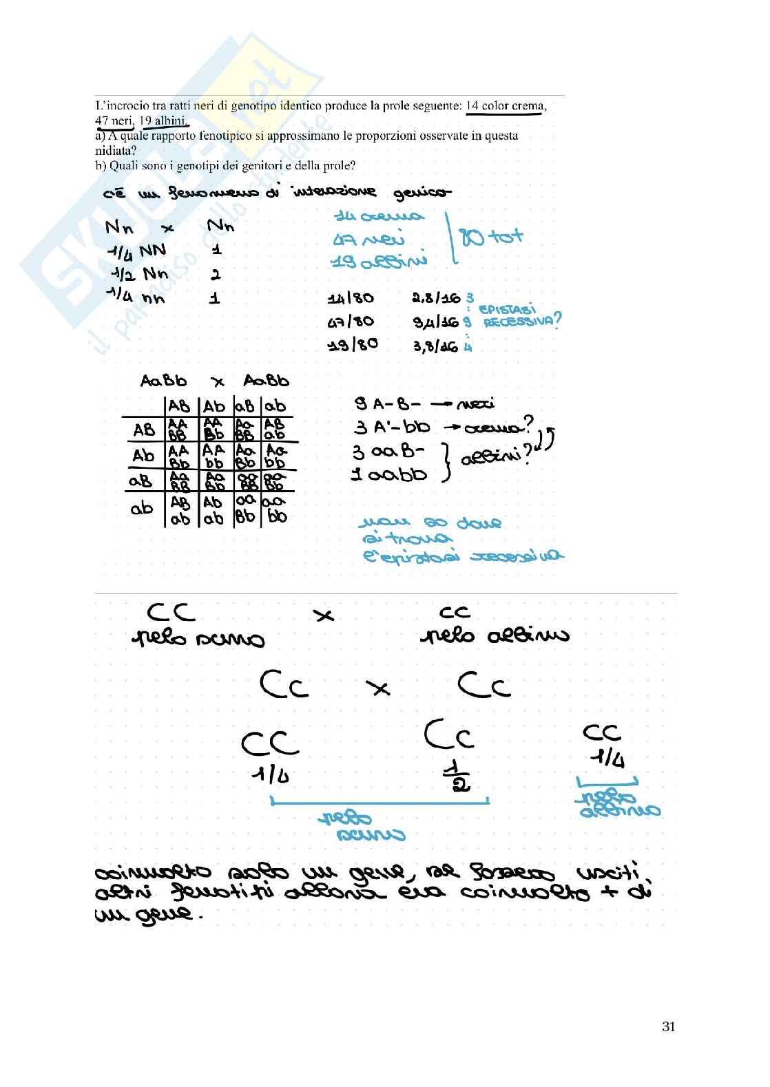 Genetica Pag. 31