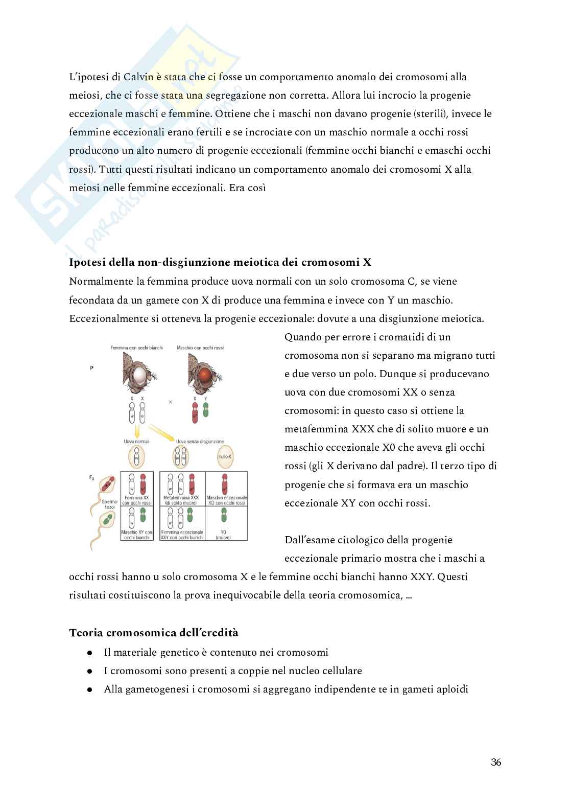 Genetica Pag. 36