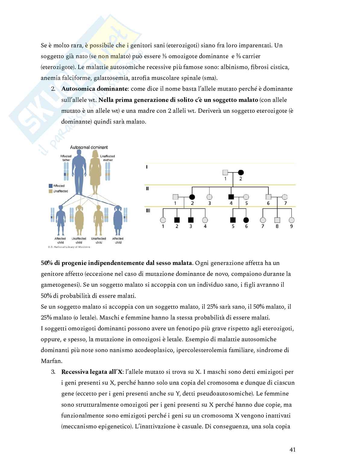 Genetica Pag. 41